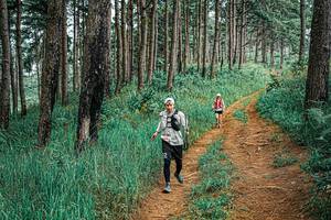 BIB: 
                            <button type="button" onclick="openModal(25678416)" class="btn btn-primary btn-sm float-right btn-popup" data-toggle="modal" data-target=".modal-high-quality">
                        <i class="fas fa-shopping-cart"></i> Add to Cart
                    </button>
                                            <button type="button" onclick="isThisMe(25678416, true)" class="btn btn-success btn-sm float-right btn-popup btn-isme hidden" data-toggle="tooltip" data-placement="bottom" title="นี่คือรูปของคุณใช่ไหม คลิกที่นี่เพื่อเอาเข้าอัลบั้ม">
                        <i class="fas fa-plus"></i> Add to album
                    </button>
                    <button type="button" onclick="isThisMe(25678416, false)" class="btn btn-warning btn-sm float-right btn-popup btn-isnotme hidden">
                        <i class="fas fa-ban"></i> Remove from album
                    </button>